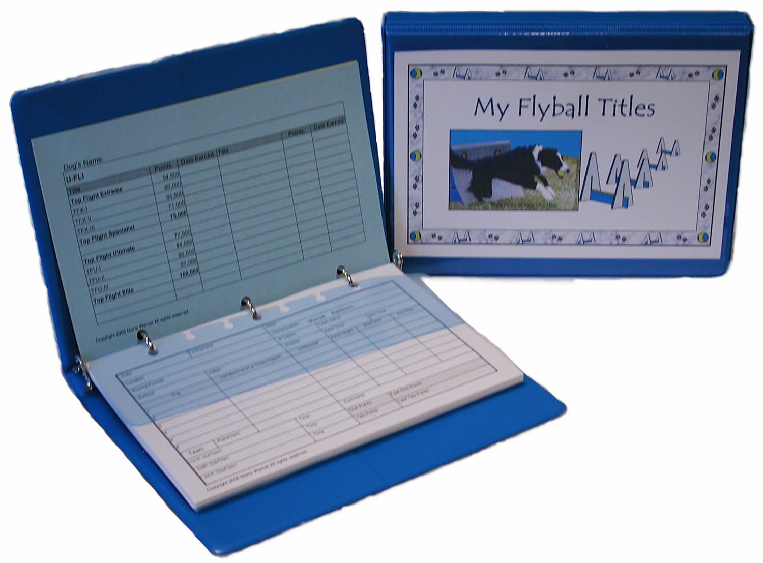 Flyball Book